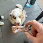 The Butcher Shop 1 150x150