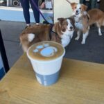 The Butcher Shop 3 150x150