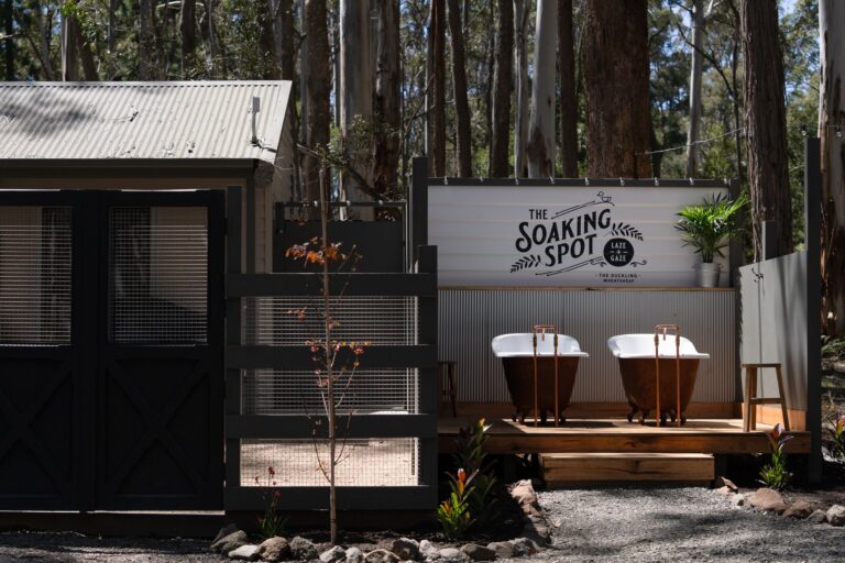 The Duckling 1 768x512