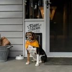 The Duckling 4 150x150