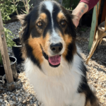 The Hungry Wombat 2 900600 12 150x150