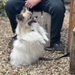 The Hungry Wombat 7 150x150