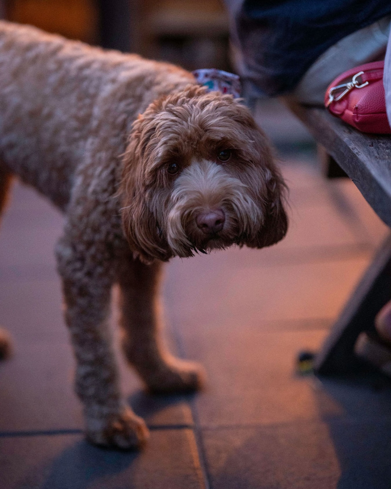 Roadhouse Byron Bay 5