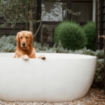 The Lodge Dogs 900600 14 150x150