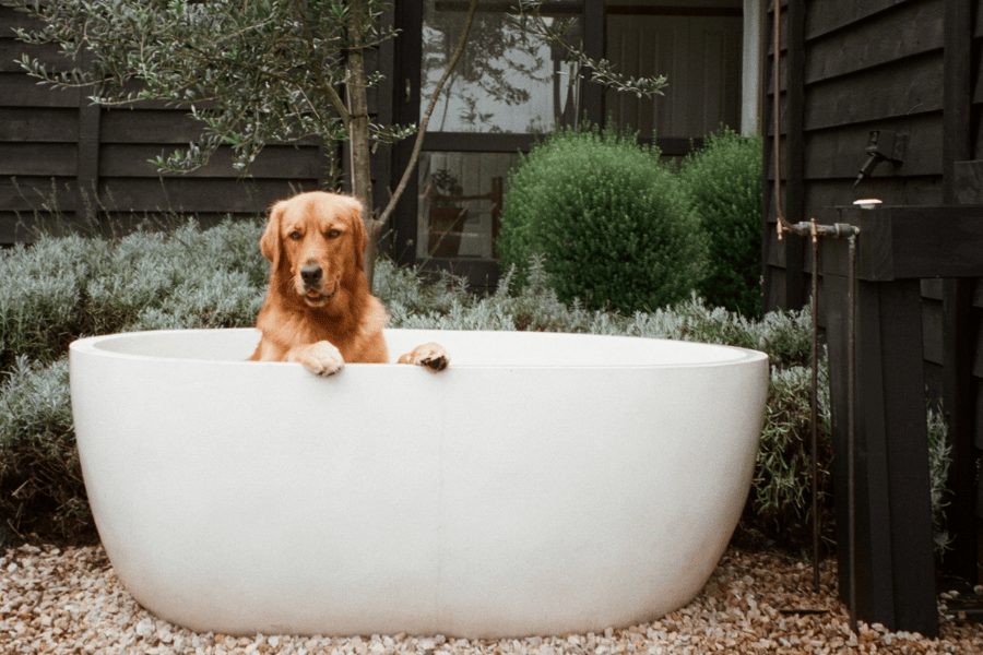 The Lodge Dogs 900600 14