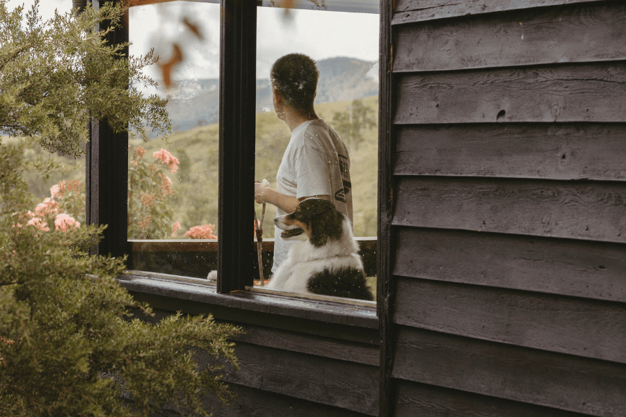 The Lodge Dogs 900600 15