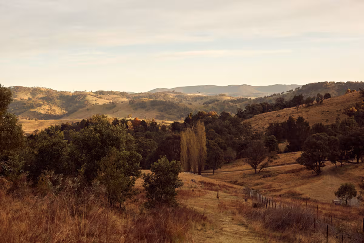 The Lodge Mt Kanimbla 25