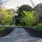 Whitevale Estate 27 150x150