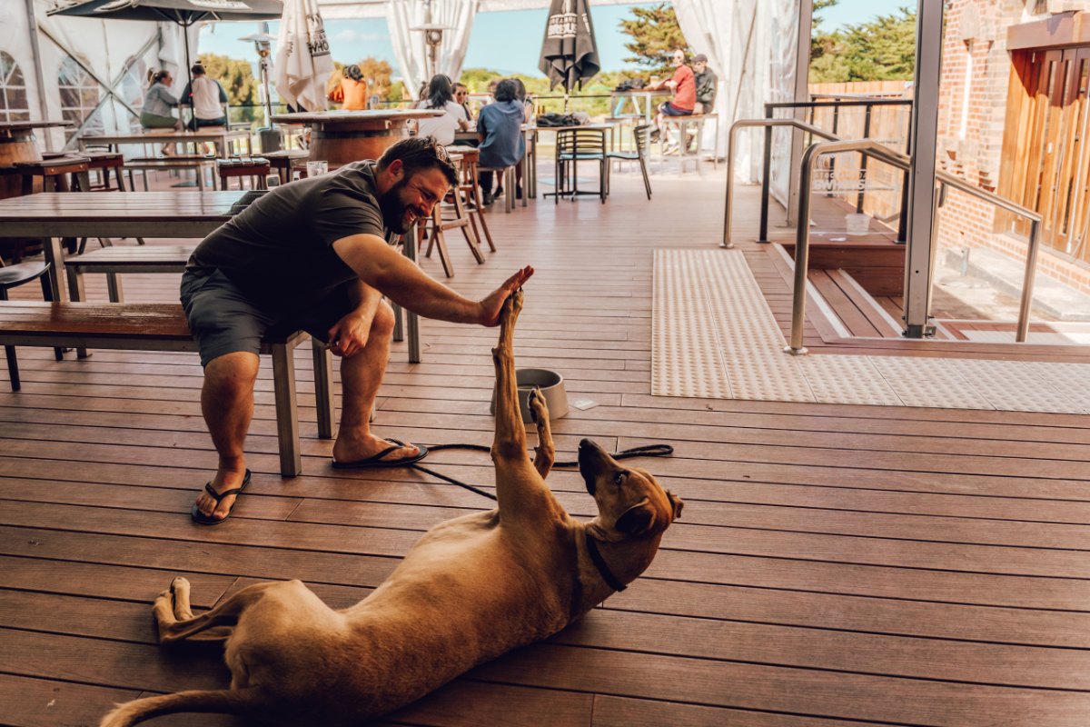 Great Ocean Road Brewhouse 11