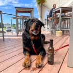 Great Ocean Road Brewhouse 13 150x150