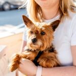 Everybody loves the sunshine ☀️🎶 Furry friends included. Come soak up these delicious rays with 150x150