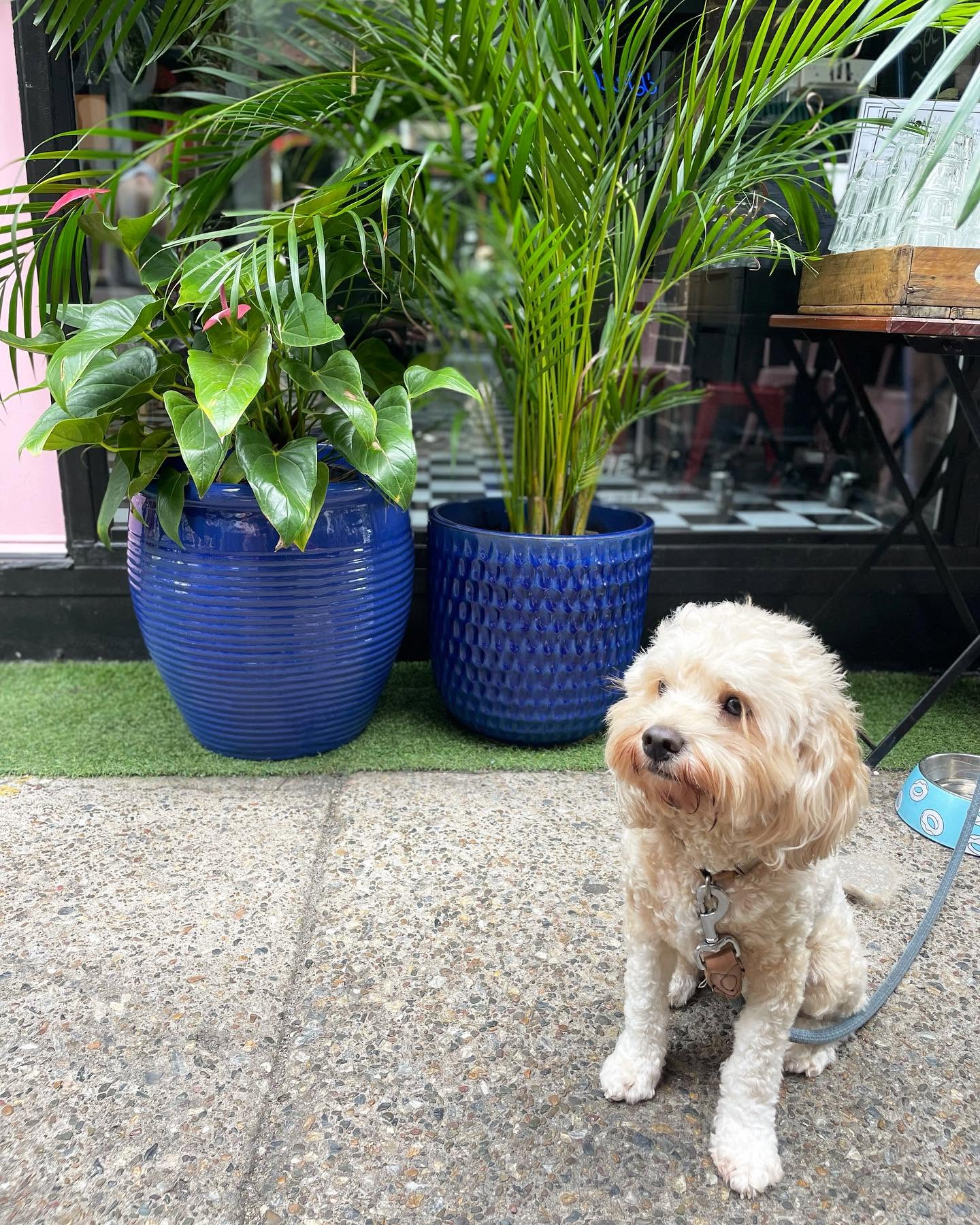 No5 Cafe 7