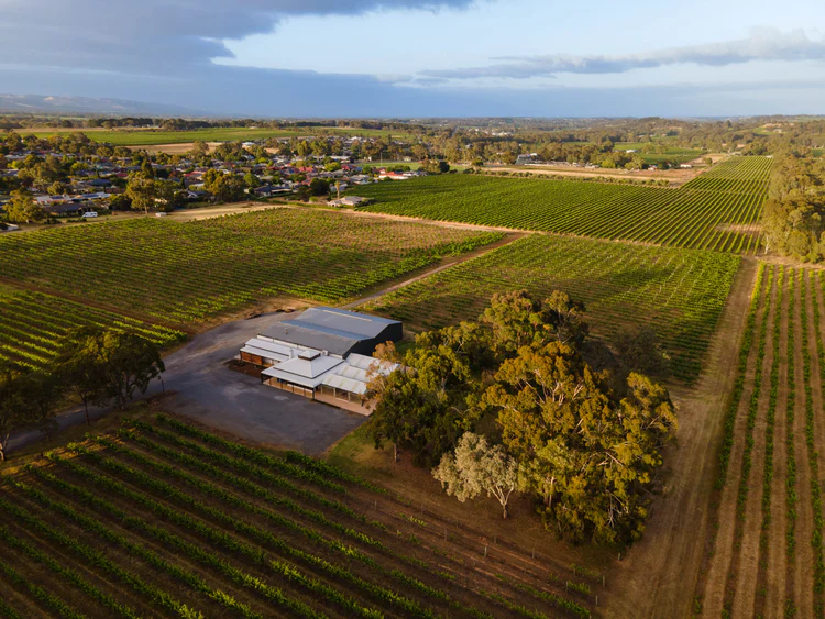 Grounded Cru 2