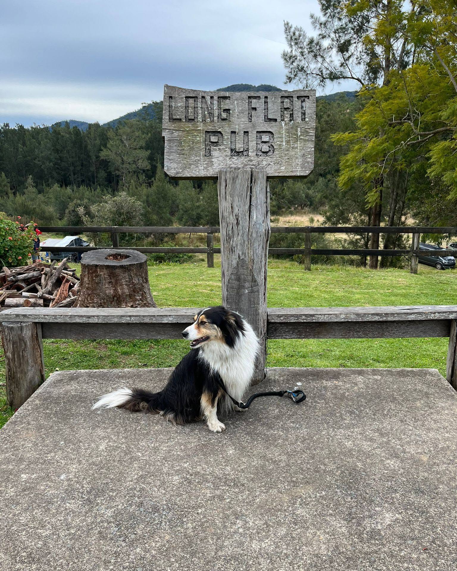 Long Flat Pub 2