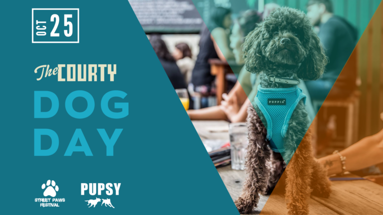 The Courty Dog Day 2026 768x432