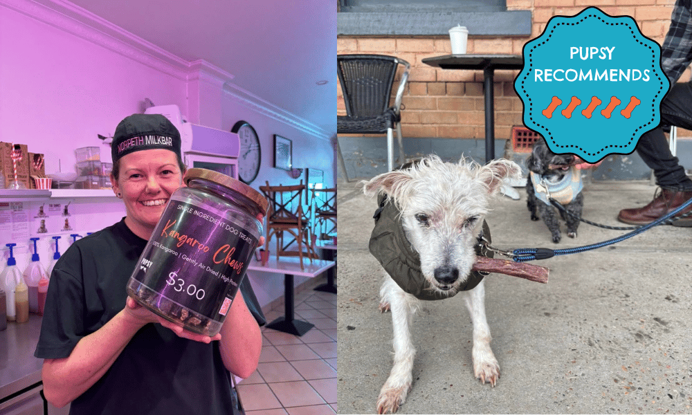 dog friendly Morpeth Milk Bar
