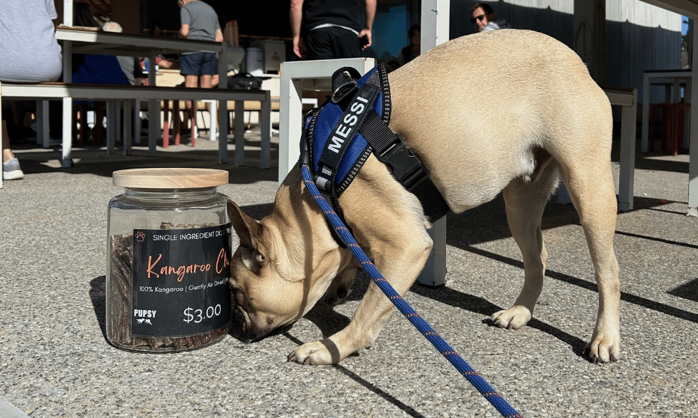 healthy cafe dog treats