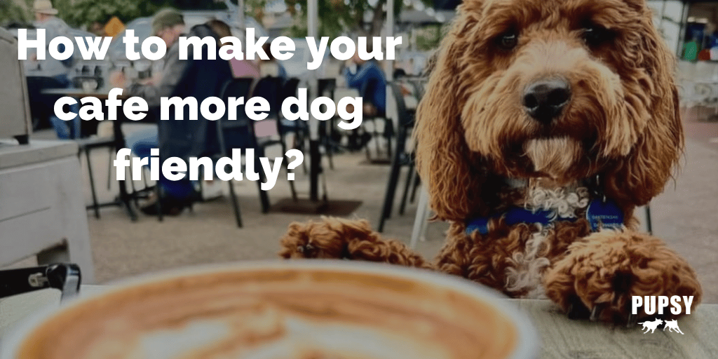 how to make your cafe more dog friendly