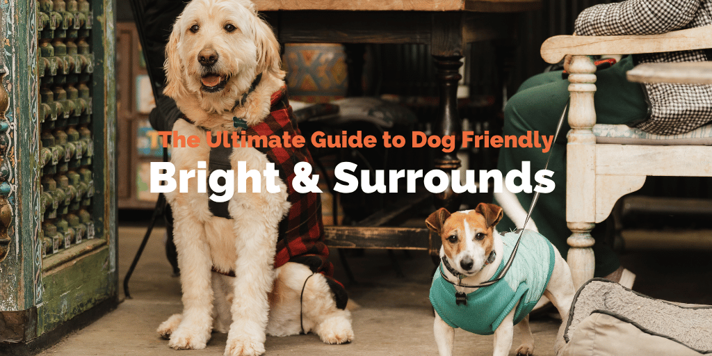 Dog Friendly Bright, Victoria: Cafes, Pubs, Off-Leash Walks & Stays