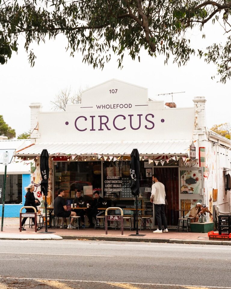Wholefood Circus 5 768x960