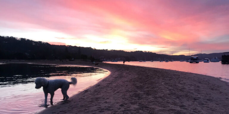 rowland reserve winter blog 768x384