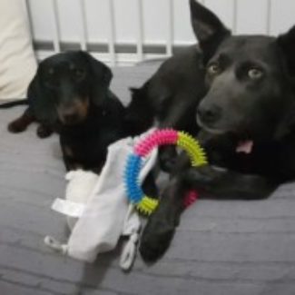 Profile picture of Sydney