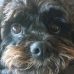 Profile picture of Benny