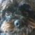 Profile picture of Benny