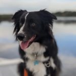 Profile picture of Marshal