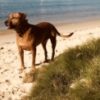 Profile picture of Jasper