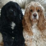 Profile picture of Marlee & Sammi