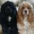 Profile picture of Marlee & Sammi