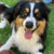 Profile picture of Angus