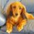 Profile picture of Frankie