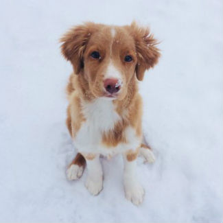 Profile picture of Nuka