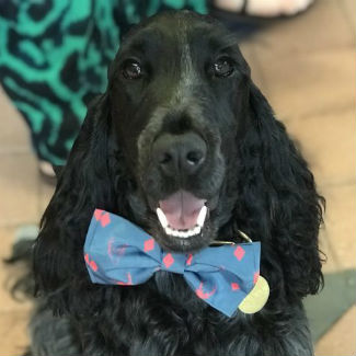 Profile picture of Kenny