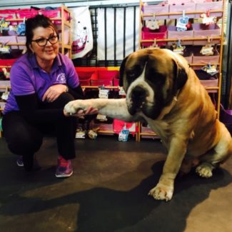 Profile picture of Naughty Dog School