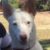 Profile picture of Dave