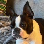 Profile picture of Duffy