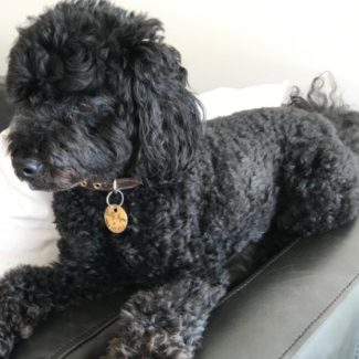 Profile picture of Billy