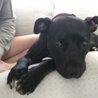 Profile picture of Pippy