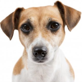 Profile picture of Sally