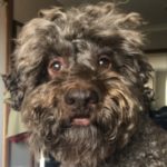 Profile picture of Lola McCloskey