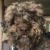 Profile picture of Lola McCloskey