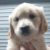 Profile picture of Willow