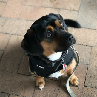 Profile picture of Teddy