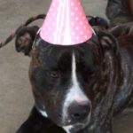Profile picture of Zeus