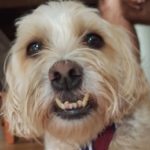 Profile picture of Womby