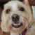 Profile picture of Womby