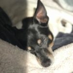 Profile picture of Odi